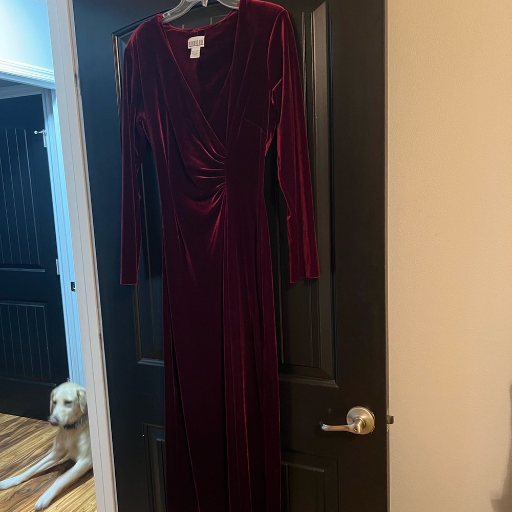 Long Burgundy velour dress